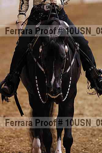 Proof 10usn_08739