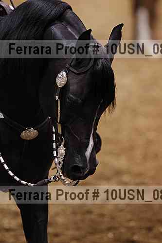 Proof 10usn_08740