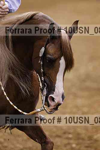 Proof 10usn_08760