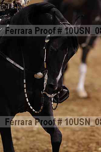 Proof 10usn_08762