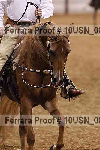 Proof 10usn_08763