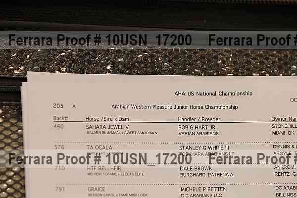 Proof 10usn_17200