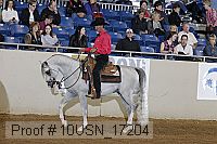 10usn_17204 proof