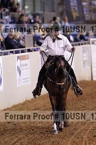 Proof 10usn_17207