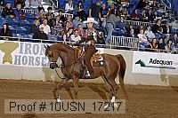 10usn_17217 proof