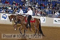 10usn_17231 proof
