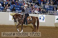 10usn_17232 proof
