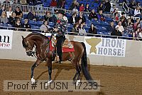 10usn_17233 proof