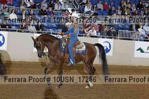Proof 10usn_17256