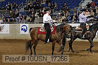 10usn_17266 proof
