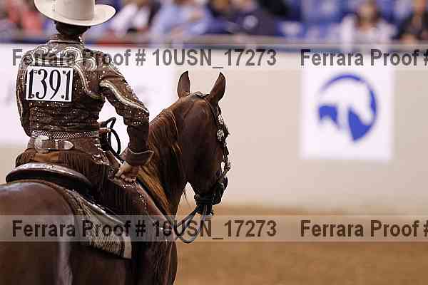 Proof 10usn_17273