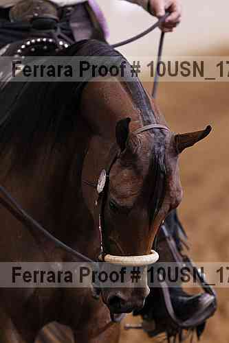 Proof 10usn_17290