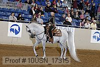 10usn_17315 proof