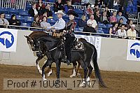 10usn_17317 proof