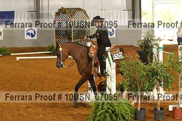 Proof 10usn_07095
