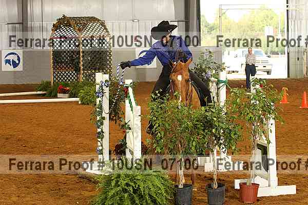 Proof 10usn_07100