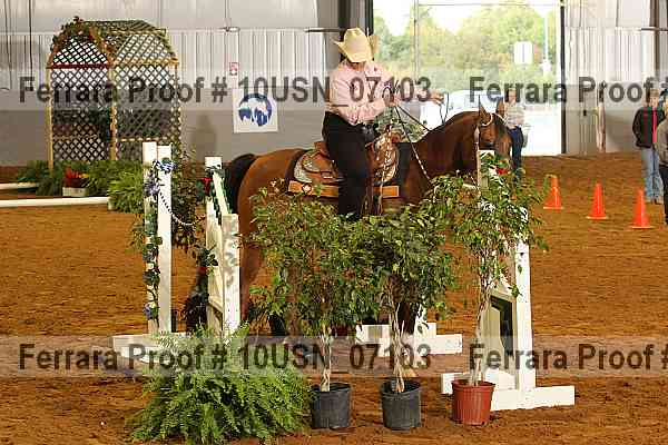 Proof 10usn_07103