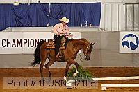 10usn_07105 proof