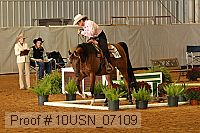 10usn_07109 proof