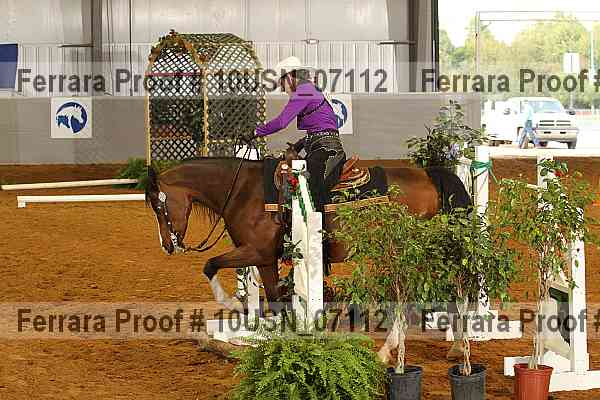 Proof 10usn_07112