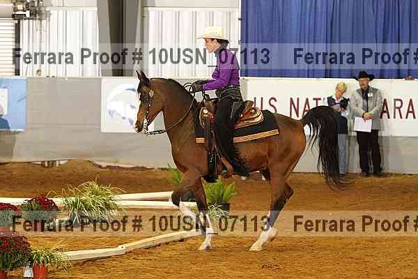 Proof 10usn_07113