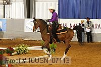 10usn_07113 proof
