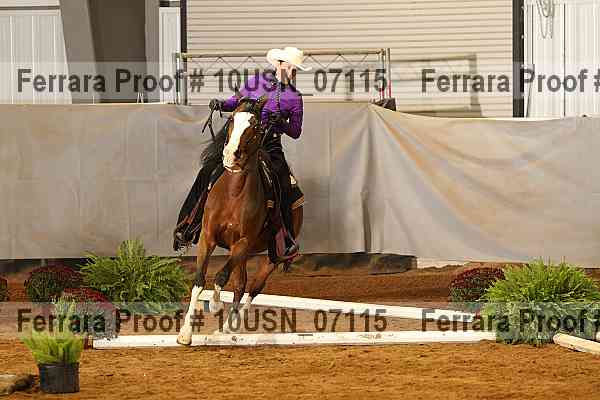 Proof 10usn_07115