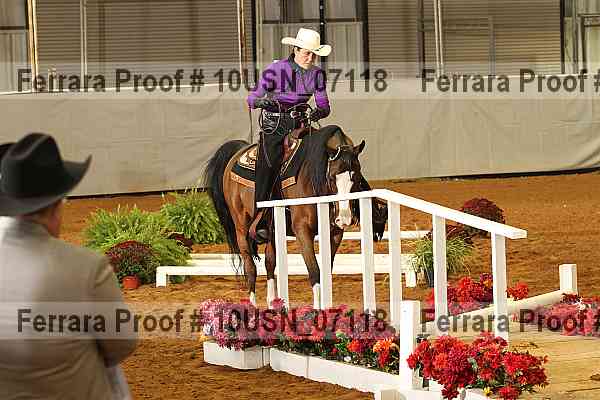 Proof 10usn_07118