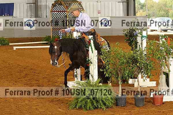 Proof 10usn_07120