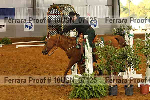 Proof 10usn_07125