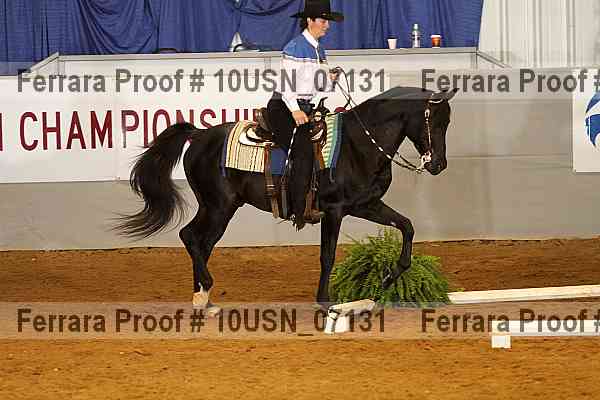 Proof 10usn_07131