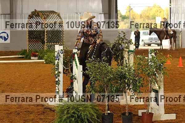 Proof 10usn_07135