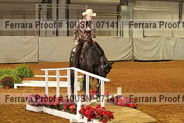 Proof 10usn_07141