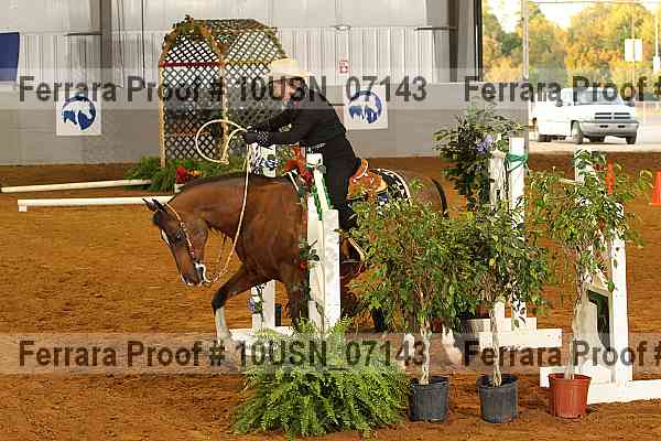 Proof 10usn_07143