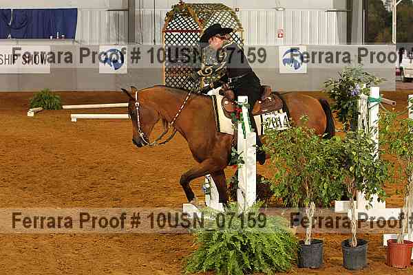 Proof 10usn_07159