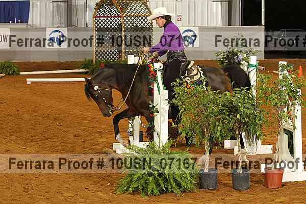 Proof 10usn_07167