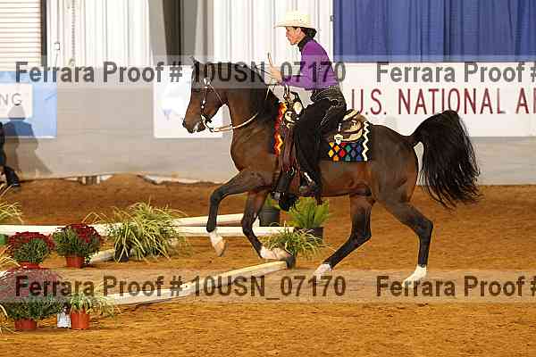 Proof 10usn_07170