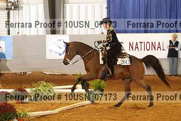 Proof 10usn_07173