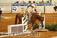 10usn_12671 proof