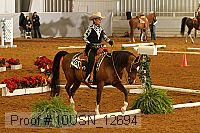 10usn_12694 proof