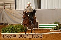 10usn_10272 proof