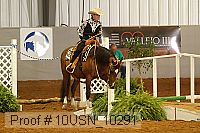 10usn_10291 proof