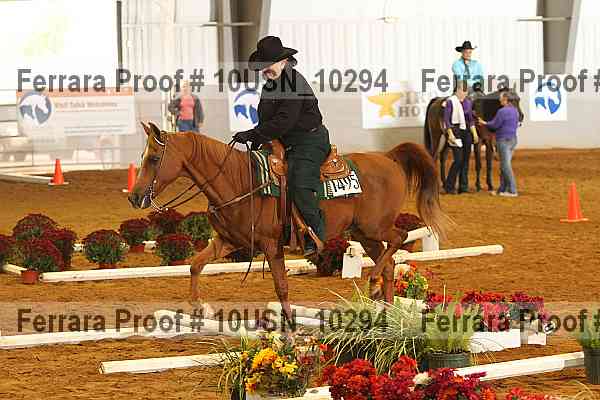 Proof 10usn_10294