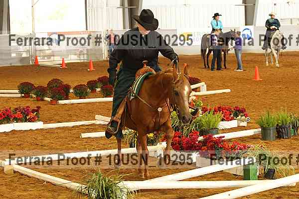 Proof 10usn_10295