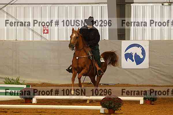 Proof 10usn_10296