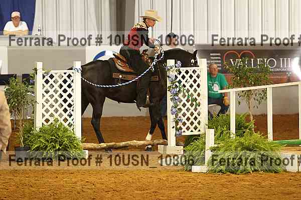 Proof 10usn_10306