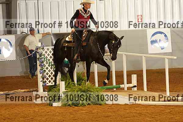 Proof 10usn_10308