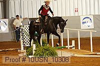 10usn_10308 proof