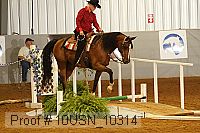 10usn_10314 proof