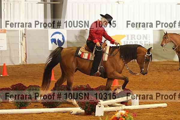 Proof 10usn_10315